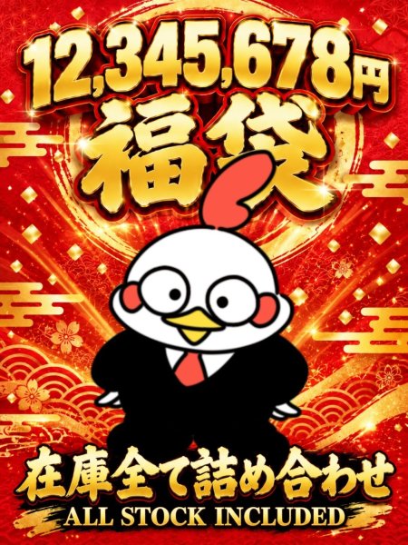 画像1: 12,345,678円福袋（在庫全て詰め合わせ） (1)