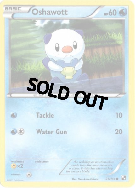 画像1: ミジュマル　海外版 英語版　Oshawott - 27/114 - (1)