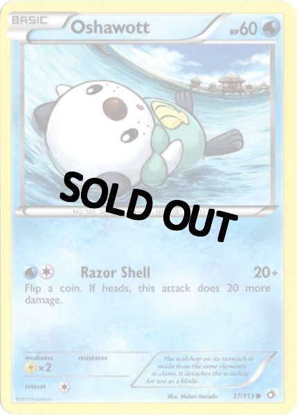 画像1: ミジュマル　海外版 英語版　Oshawott - 37/113 - (1)