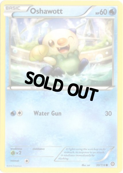 画像1: ミジュマル　海外版 英語版　Oshawott - 30/114 - (1)