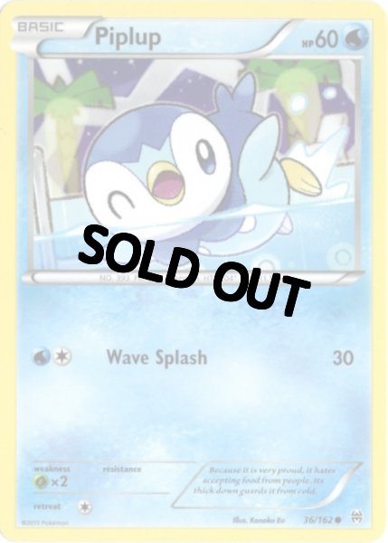 画像1: ポッチャマ　海外版 英語版　Piplup - 36/162 - (1)