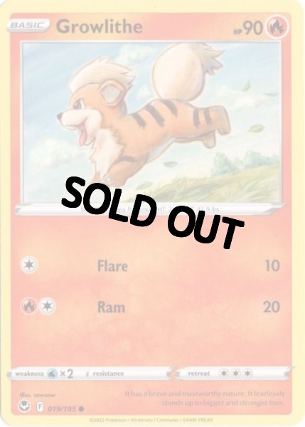 画像1: ガーディ　海外版 英語版　Growlithe - 019/195 - (1)