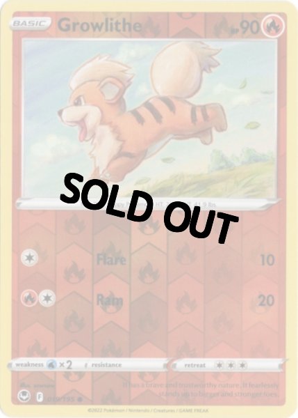 画像1: ガーディ　海外版 英語版　リバホロ　Growlithe - 019/195 - (1)