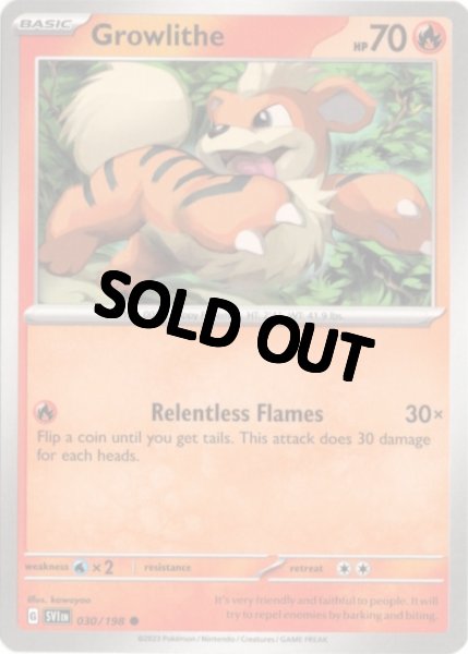 画像1: ガーディ　海外版 英語版　Growlithe - 030/198 - (1)