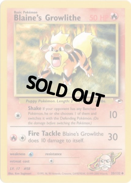 画像1: カツラのガーディ　海外版 英語版　アンリミ　Blaine's Growlithe - 35/132 - (1)