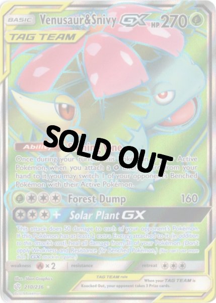 画像1: フシギバナ&ツタージャGX　SR　海外版 英語版　Venusaur & Snivy GX - 210/236 - (1)