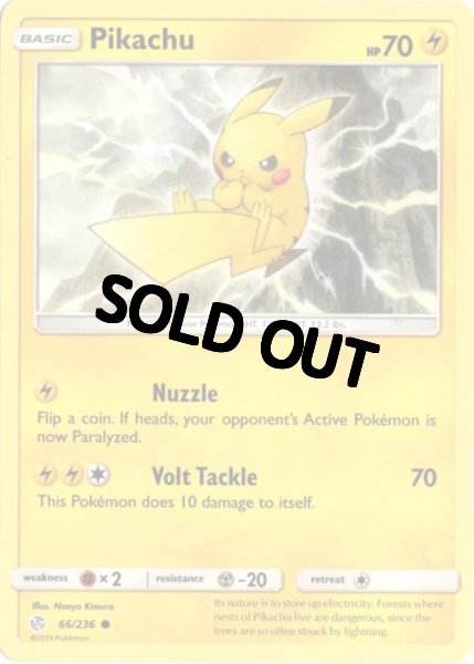 画像1: ピカチュウ　海外版 英語版　Pikachu - 66/236 - (1)
