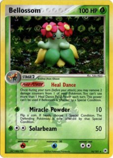 Yuka Morii（森井ユカ）カード一覧