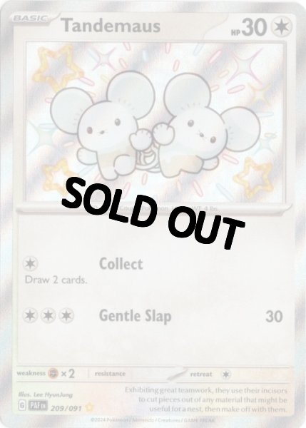 画像1: ワッカネズミ　S　海外版 英語版　色違い　Tandemaus - 209/091 - (1)