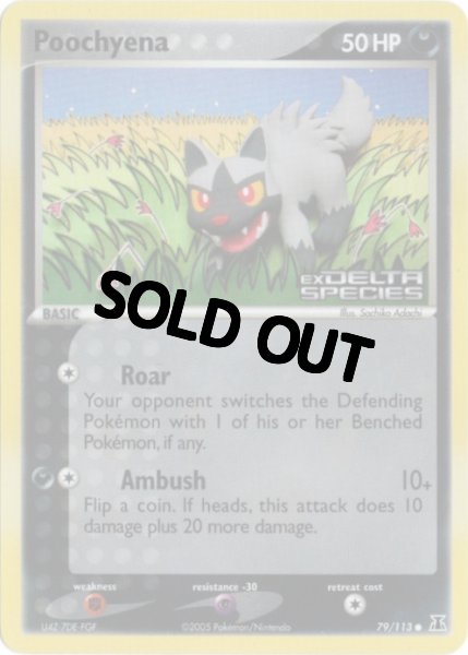 画像1: ポチエナ　海外版 英語版　リバホロ　Poochyena - 79/113 - (1)