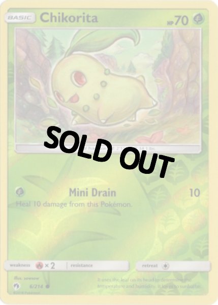 画像1: チコリータ　海外版 英語版　リバホロ　Chikorita - 6/214 - (1)