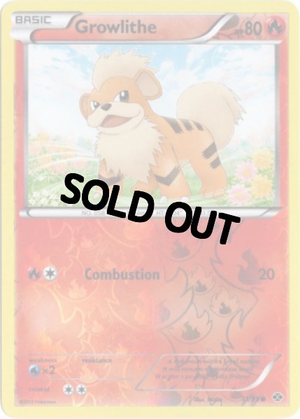 画像1: ガーディ　海外版 英語版　リバホロ　Growlithe - 11/99 - (1)