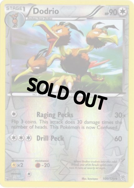 画像1: ドードリオ　海外版 英語版　リバホロ　Dodrio - 100/135 - (1)