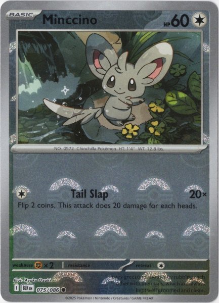 画像1: チラーミィ　海外版 英語版　モンスターボールミラー　Minccino - 075/086 - (1)