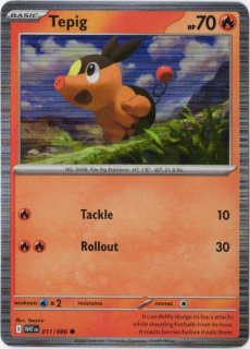 ⭐︎新品　ポケモンカード　英語版　海外版 TEDDIURSA ヒメグマ ヒメグマ シャイニーコレクション 海外版 英語版 Teddiursa