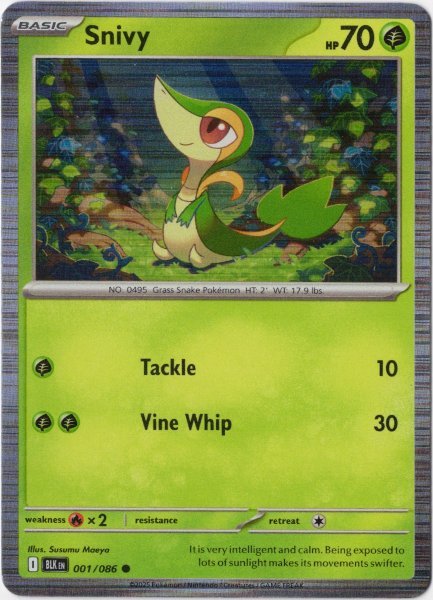 画像1: ツタージャ　海外版 英語版　ホロ プロモ　Snivy - 001/086 - (1)