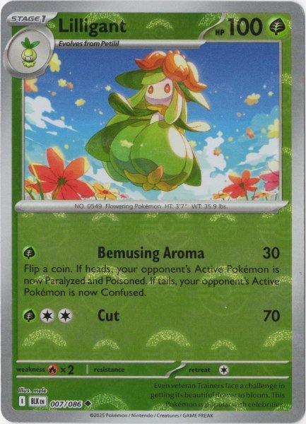 画像1: ドレディア　海外版 英語版　モンスターボールミラー　Lilligant - 007/086 - (1)