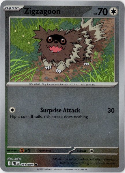 画像1: ジグザグマ　海外版 英語版　リバホロ　Zigzagoon - 081/094 - (1)