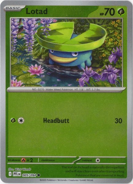 画像1: ハスボー　海外版 英語版　リバホロ　Lotad - 005/094 - (1)