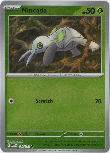 画像1: ツチニン　海外版 英語版　リバホロ　Nincada - 016/132 - (1)