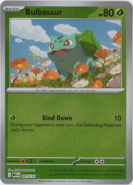 画像1: フシギダネ　海外版 英語版　リバホロ　Bulbasaur - 001/132 - (1)