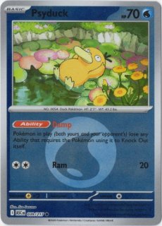 海外版ポケモンカード通販サイト【Card Chicken/カードチキン】