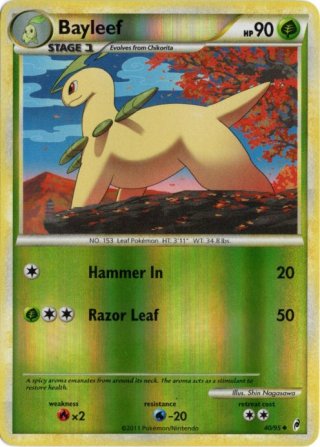 海外版ポケモンカード通販サイト【Card Chicken/カードチキン