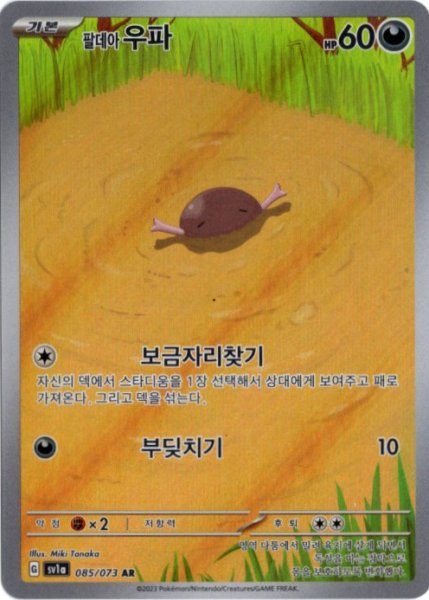 画像1: パルデアウパー　AR　韓国語版 (1)