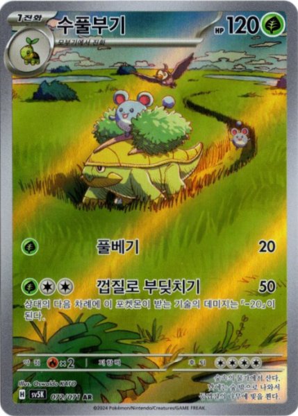 画像1: ハヤシガメ　AR　韓国語版 (1)