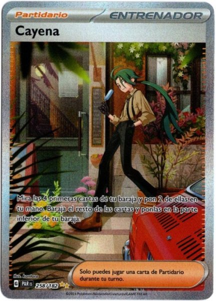 画像1: チリ　SAR　スペイン語版 (1)