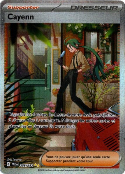 画像1: チリ　SAR　フランス語版 (1)