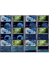 宝石包vol.2 リーフィアPSA9、ニンフィア&ブラッキーPSA10 宝石包vol.2 リーフィアPSA9、ニンフィア&ブラッキーPSA10