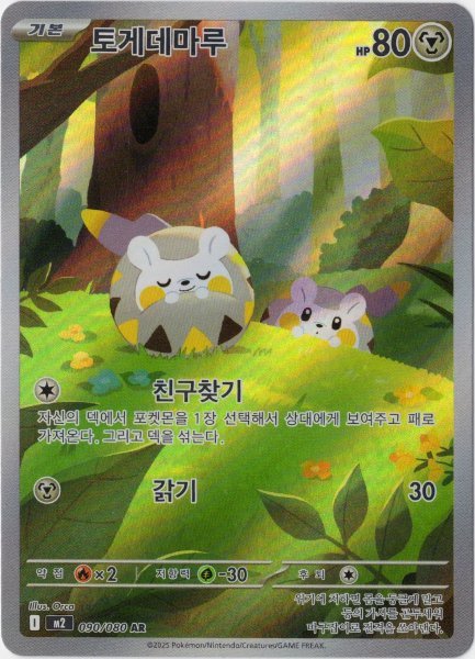 画像1: トゲデマル　AR　韓国語版 (1)