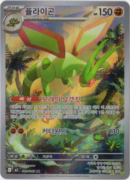 画像1: フライゴン　AR　韓国語版 (1)