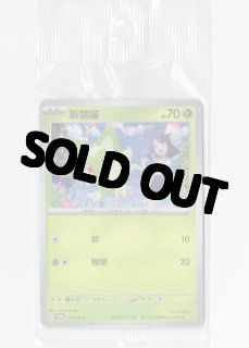 海外版ポケモンカード通販サイト【Card Chicken/カードチキン】