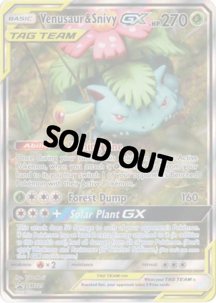 画像1: フシギバナ&ツタージャGX　SR SA　海外版 英語版　プロモ　Venusaur & Snivy GX - SM229 - (1)