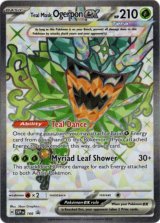 ブラッキー ar 海外限定イラスト ブラッキー AR 中国語(簡体字)版 海外限定イラスト【Card Chicken】