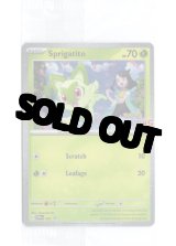 クワッス ar psa10 海外限定イラスト クワッス ar psa10 海外限定イラスト - メルカリ