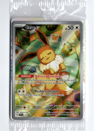 海外版ポケモンカード通販サイト【Card Chicken/カードチキン