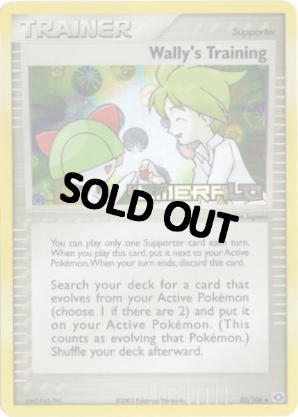 画像1: ミツルの育成　海外版 英語版　リバホロ　モンスターボールホロ　Wally's Training - 85/106 - (1)