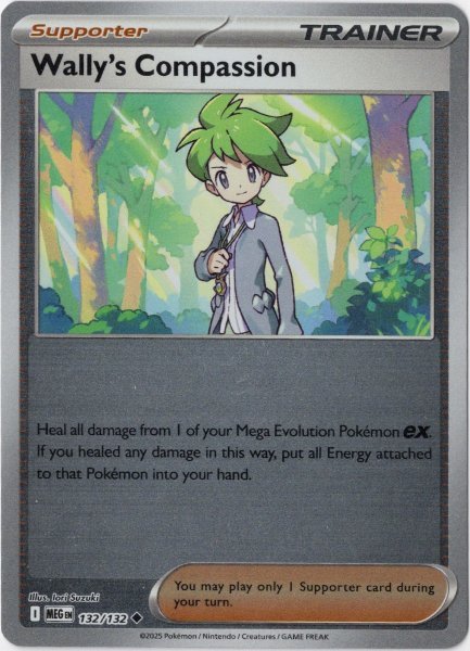 画像1: ミツルの思いやり　海外版 英語版　リバホロ　Wally's Compassion - 132/132 - (1)